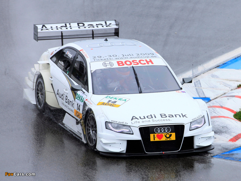 Images of Audi A4 DTM B8,8K (2008–2011) (800 x 600)