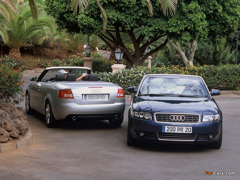 Images of Audi A4 (800 x 600)