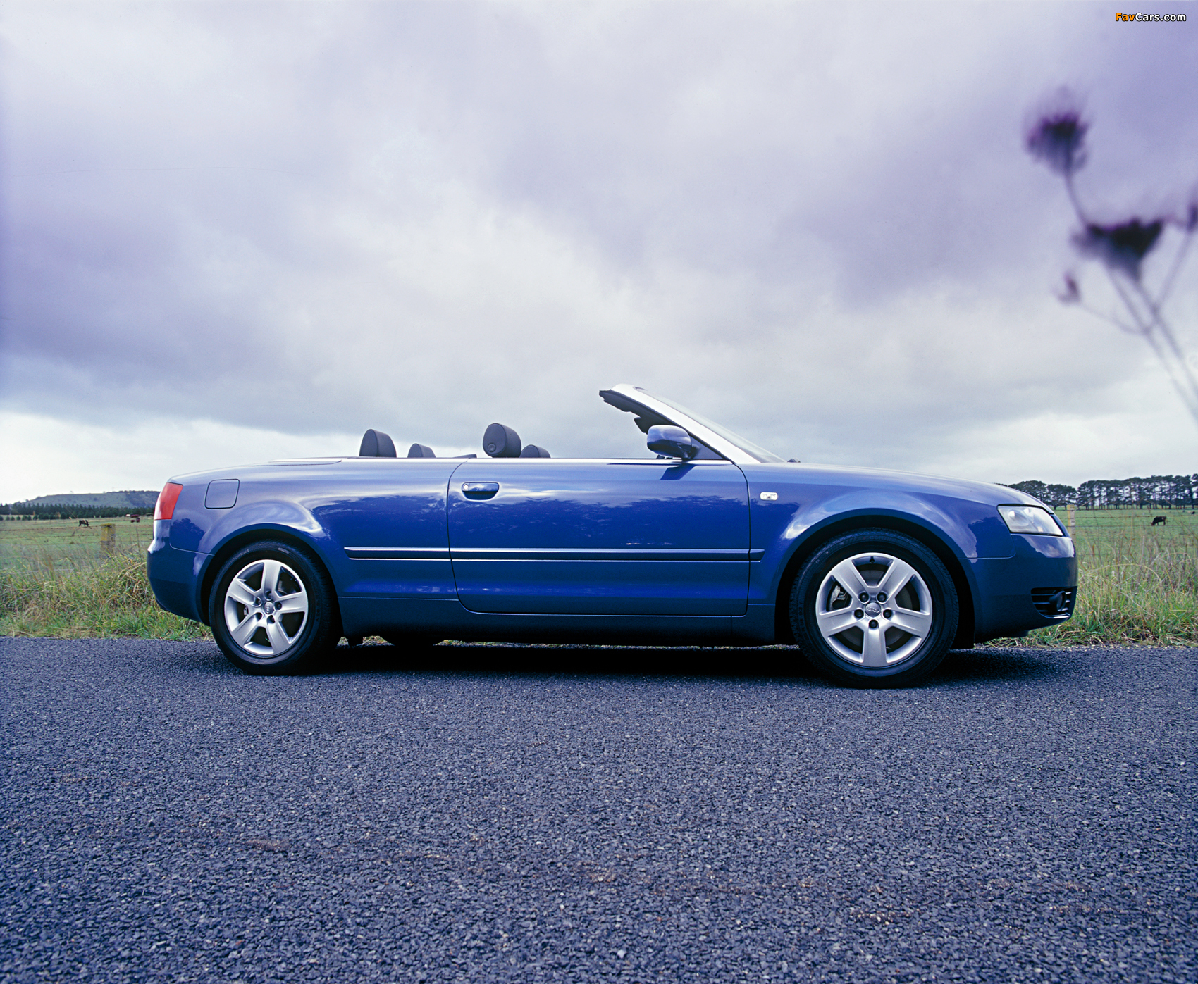 Photos of Audi A4 1.8T Cabrio AU-spec (B6,8H) 2003–06 (1700 x 1397)