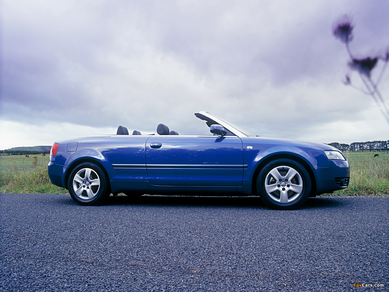 Photos of Audi A4 1.8T Cabrio AU-spec (B6,8H) 2003–06 (1280 x 960)