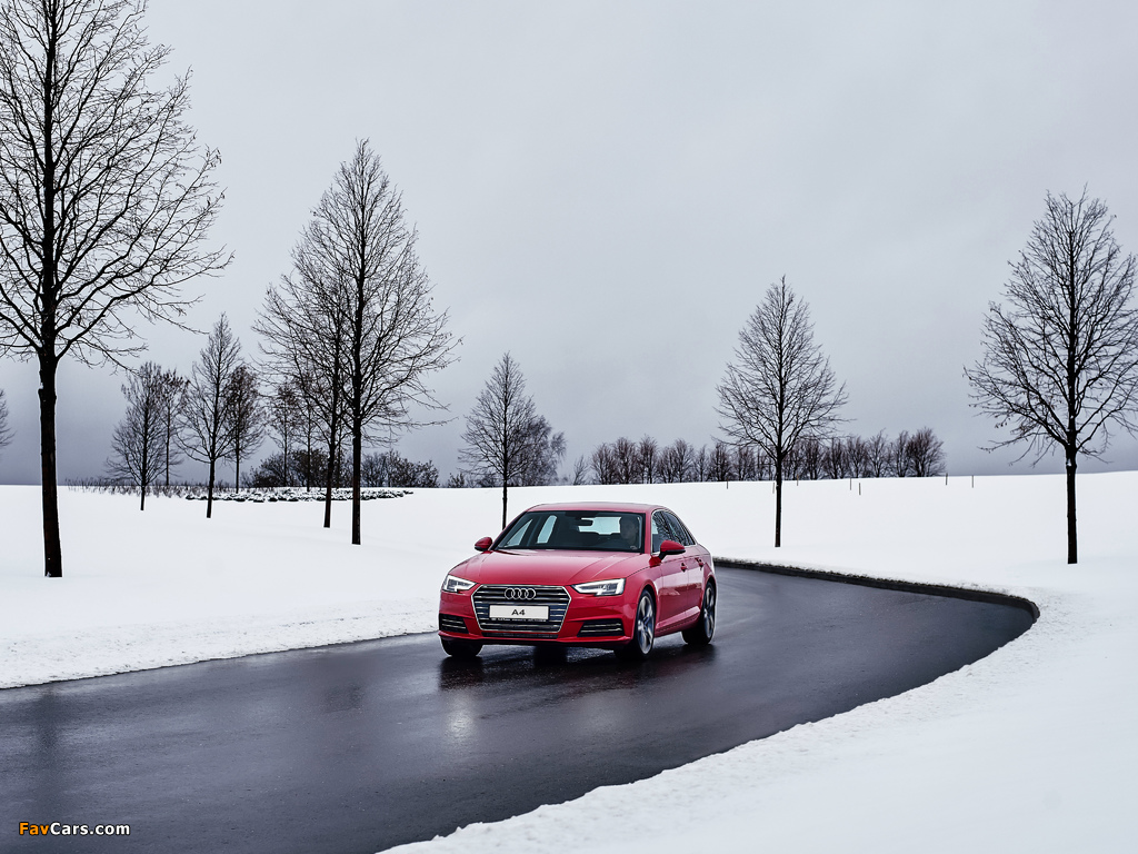 Photos of Audi A4 1.4 TFSI sport (B9) 2015 (1024 x 768)