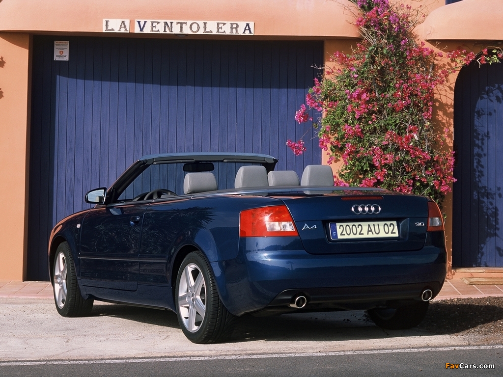 Pictures of Audi A4 3.0 Cabrio B6,8H (2001–2005) (1024 x 768)