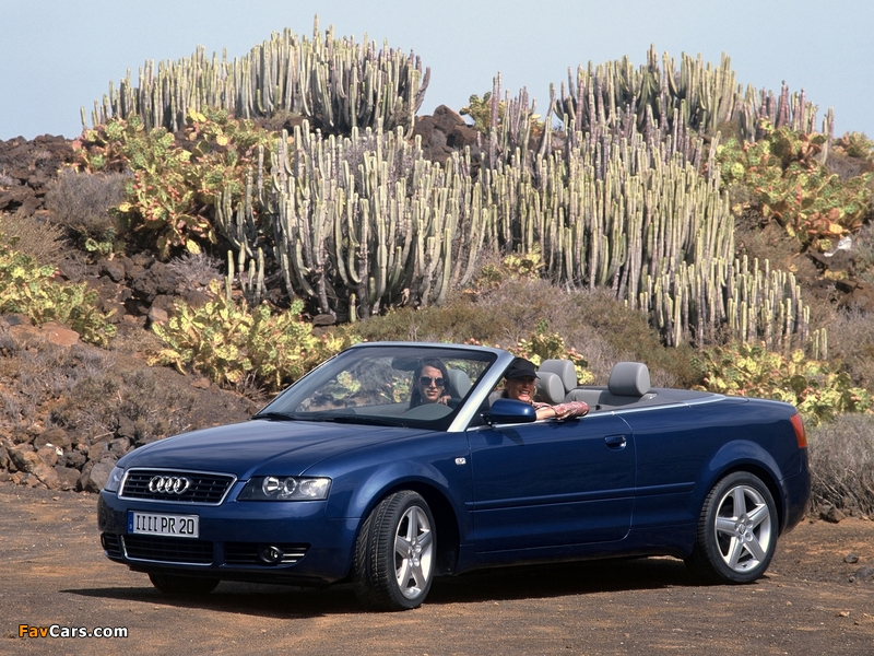Pictures of Audi A4 3.0 Cabrio B6,8H (2001–2005) (800 x 600)