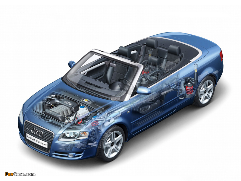 Pictures of Audi A4 2.0T Cabrio B7,8H (2005) (800 x 600)