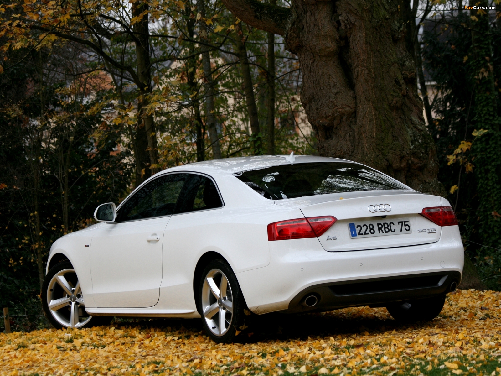 Audi A5 3.0 TDI quattro Coupe 2007–11 wallpapers (1600 x 1200)