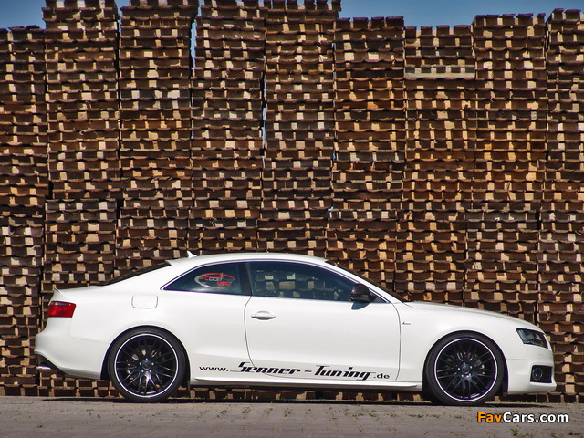 Senner Tuning Audi A5 Coupe 2009 images (640 x 480)