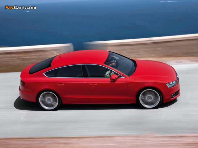 Audi A5 Sportback 2.0T S-Line 2009–11 photos (640 x 480)