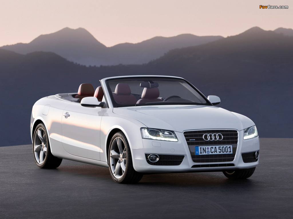 Audi A5 3.0 TDI Cabriolet 2009–11 pictures (1024 x 768)