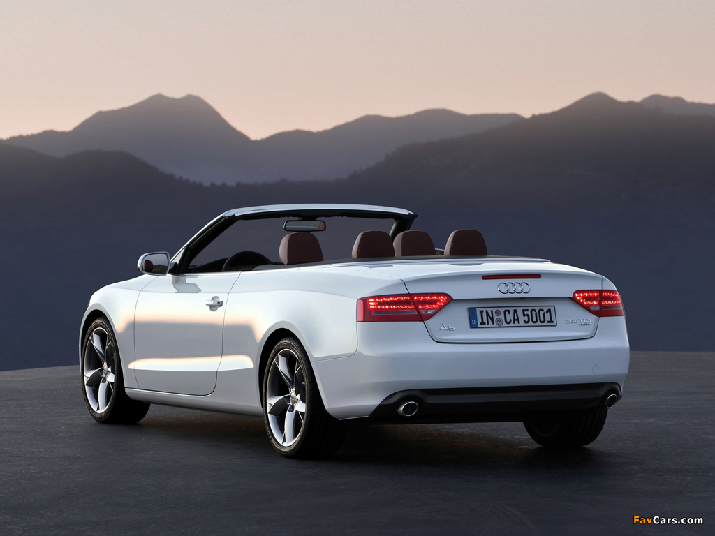 Audi A5 3.0 TDI Cabriolet 2009–11 pictures (1024 x 768)