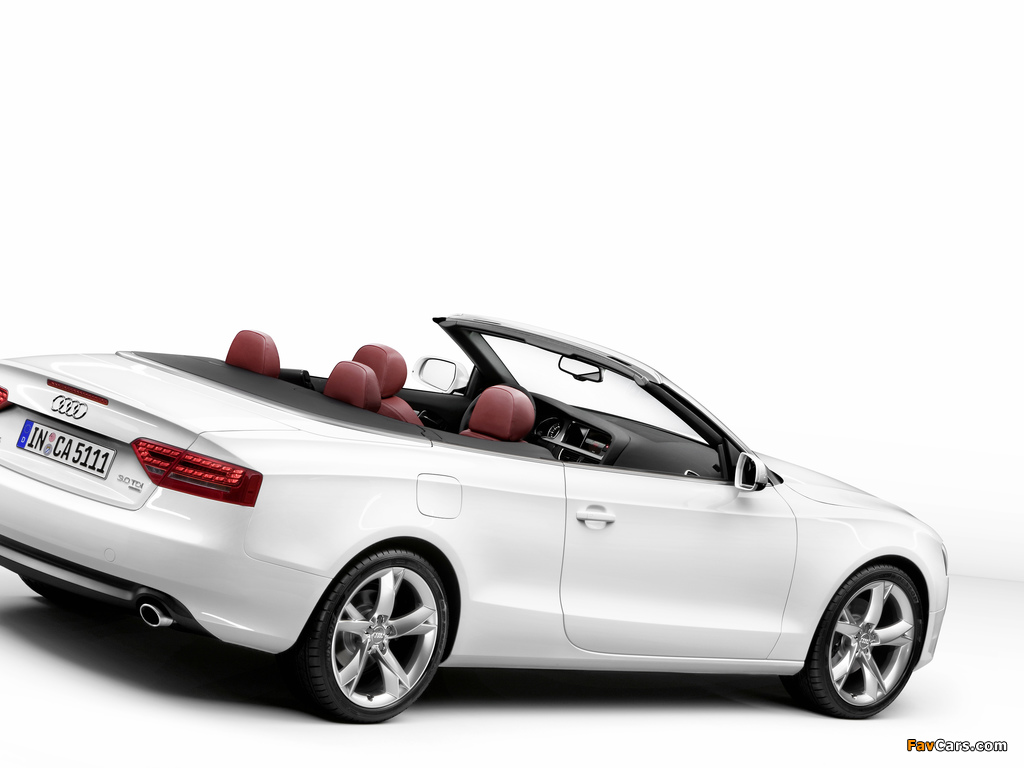 Audi A5 3.0 TDI Cabriolet 2009–11 pictures (1024 x 768)