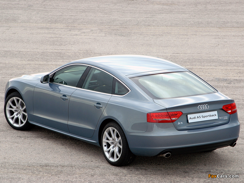 Audi A5 Sportback 3.0 TDI quattro ZA-spec 2009–11 wallpapers (800 x 600)