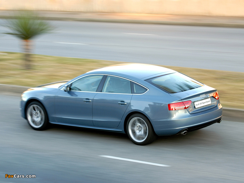 Audi A5 Sportback 3.0 TDI quattro ZA-spec 2009–11 wallpapers (800 x 600)