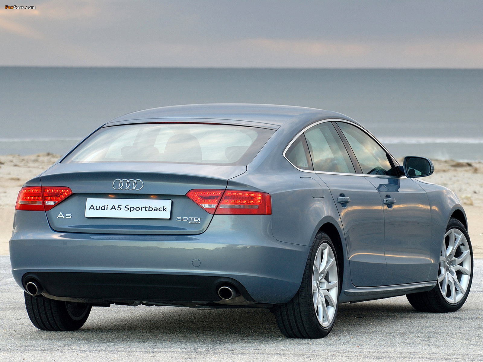 Audi A5 Sportback 3.0 TDI quattro ZA-spec 2009–11 wallpapers (1600 x 1200)