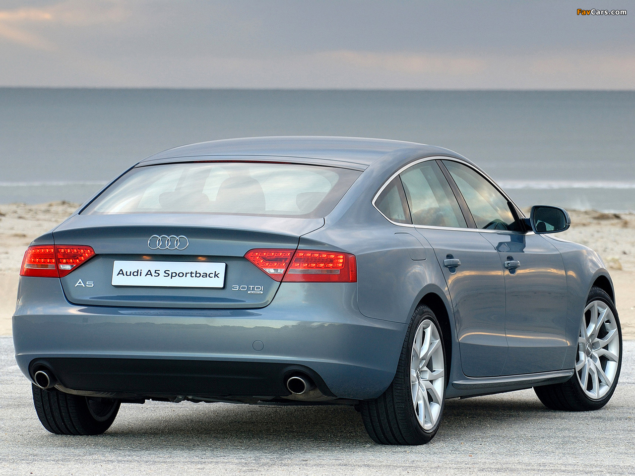 Audi A5 Sportback 3.0 TDI quattro ZA-spec 2009–11 wallpapers (1280 x 960)