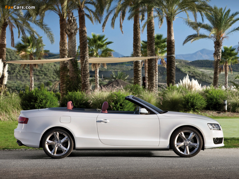 Audi A5 3.0 TDI Cabriolet 2009–11 wallpapers (800 x 600)
