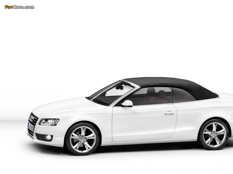 Audi A5 3.0 TDI Cabriolet 2009–11 wallpapers (800 x 600)