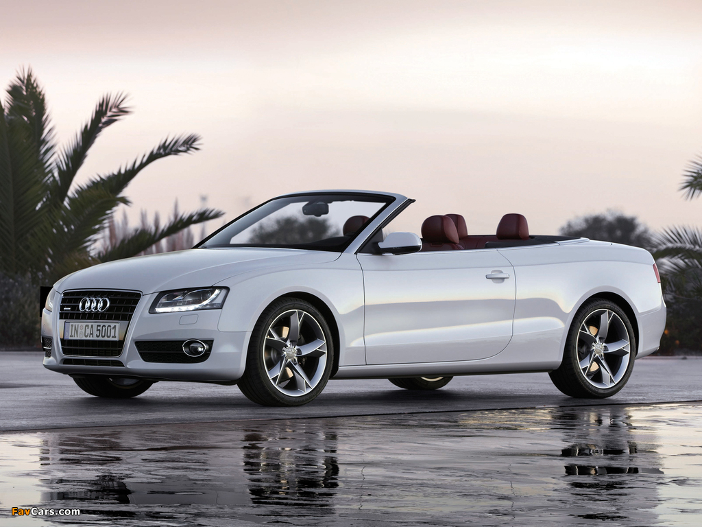 Audi A5 3.0 TDI Cabriolet 2009–11 wallpapers (1024 x 768)