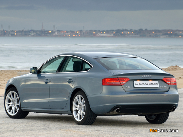 Audi A5 Sportback 3.0 TDI quattro ZA-spec 2009–11 wallpapers (640 x 480)