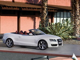 Audi A5 3.0 TDI Cabriolet 2009–11 wallpapers