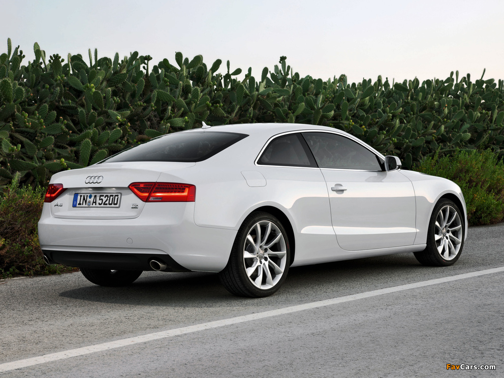 Audi A5 3.0 TDI quattro Coupe 2011 images (1024 x 768)