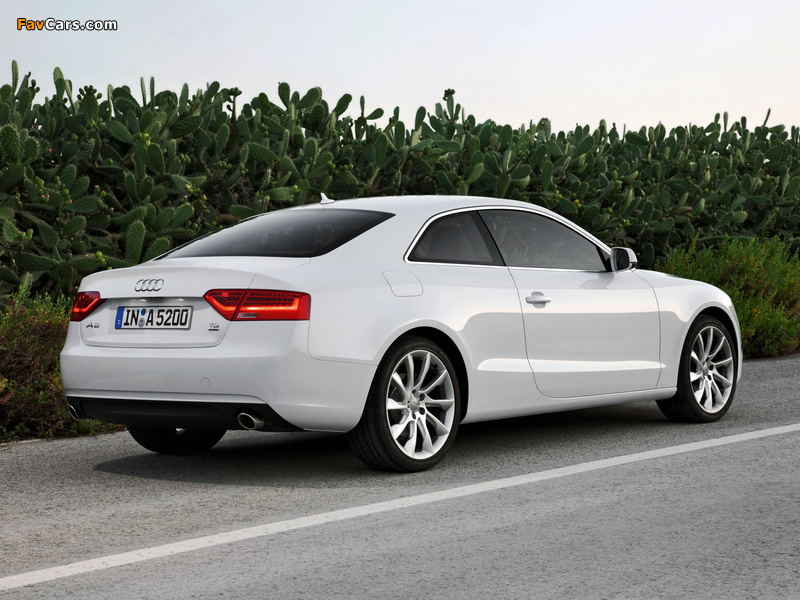 Audi A5 3.0 TDI quattro Coupe 2011 images (800 x 600)