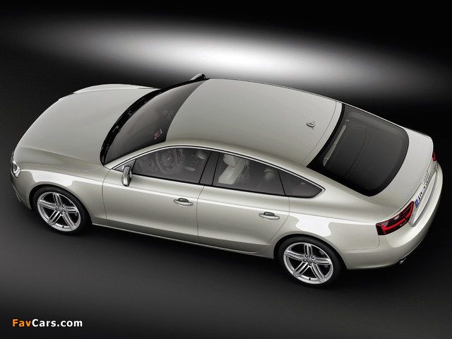 Audi A5 Sportback 3.0 TDI quattro 2011 photos (640 x 480)