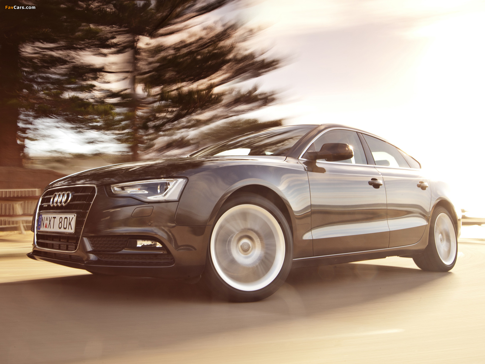 Audi A5 Sportback 3.0 TDI quattro AU-spec 2011 photos (1600 x 1200)