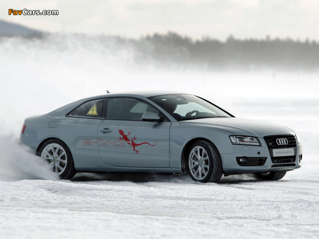 Audi A5 e-Tron quattro Coupe Prototype 2011 photos (640 x 480)