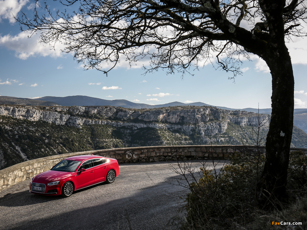 Audi A5 Sportback 2.0 TFSI quattro S line 2016 photos (1024 x 768)