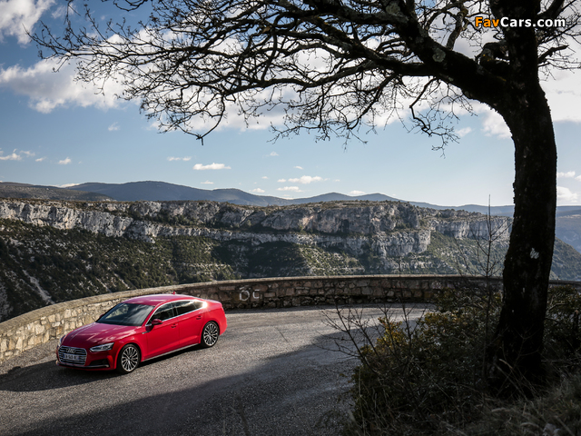 Audi A5 Sportback 2.0 TFSI quattro S line 2016 photos (640 x 480)