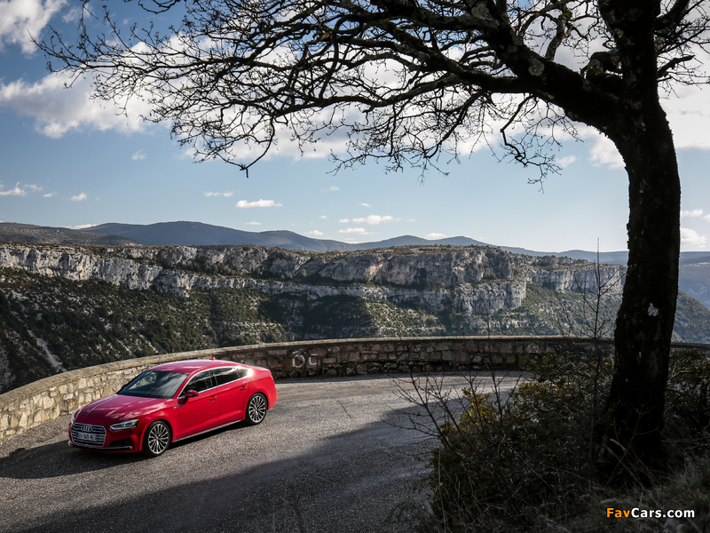 Audi A5 Sportback 2.0 TFSI quattro S line 2016 photos (800 x 600)