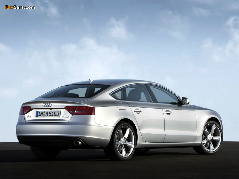 Images of Audi A5 Sportback 3.0 TDI quattro 2009–11 (800 x 600)