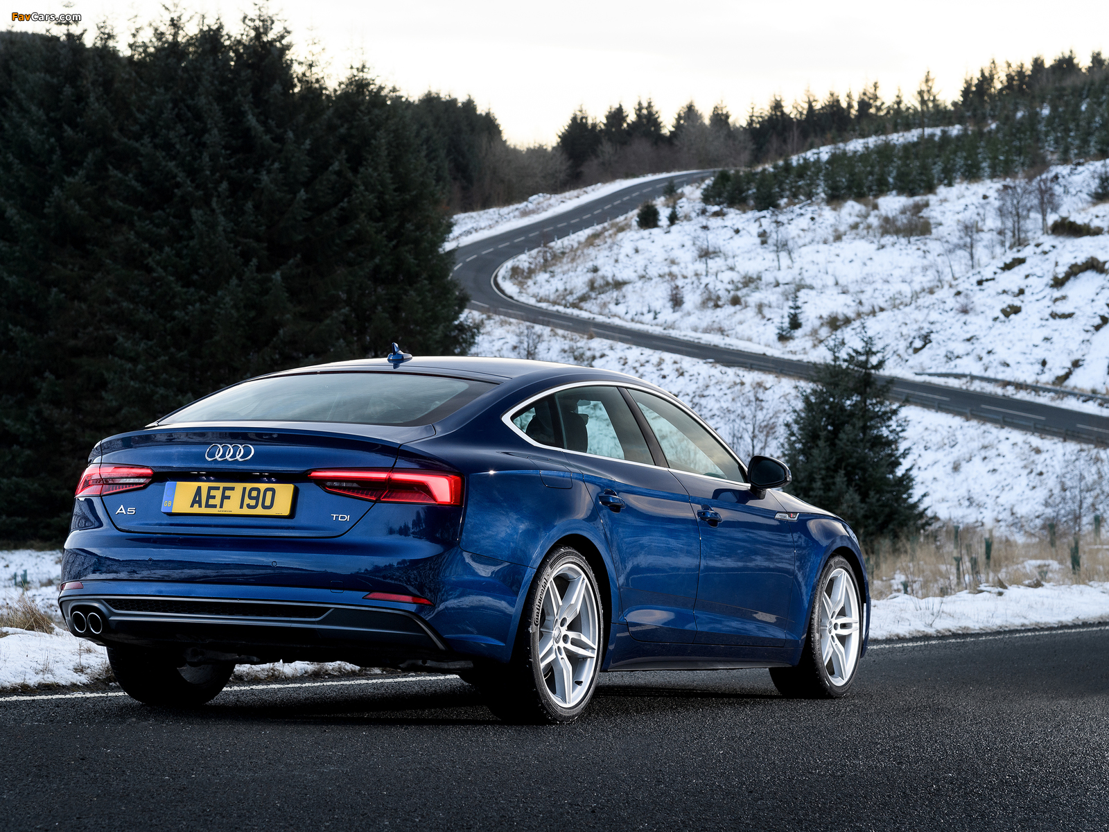 Images of Audi A5 Sportback 2.0 TDI S line UK-spec 2017 (1600 x 1200)