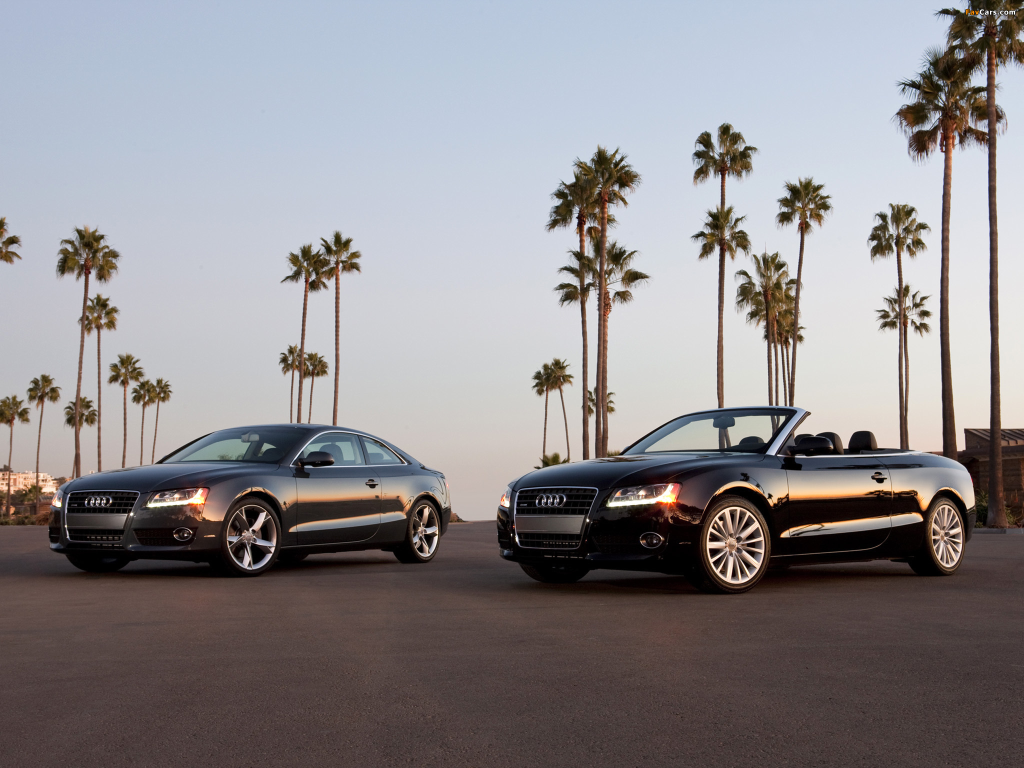 Images of Audi A5 (2048 x 1536)