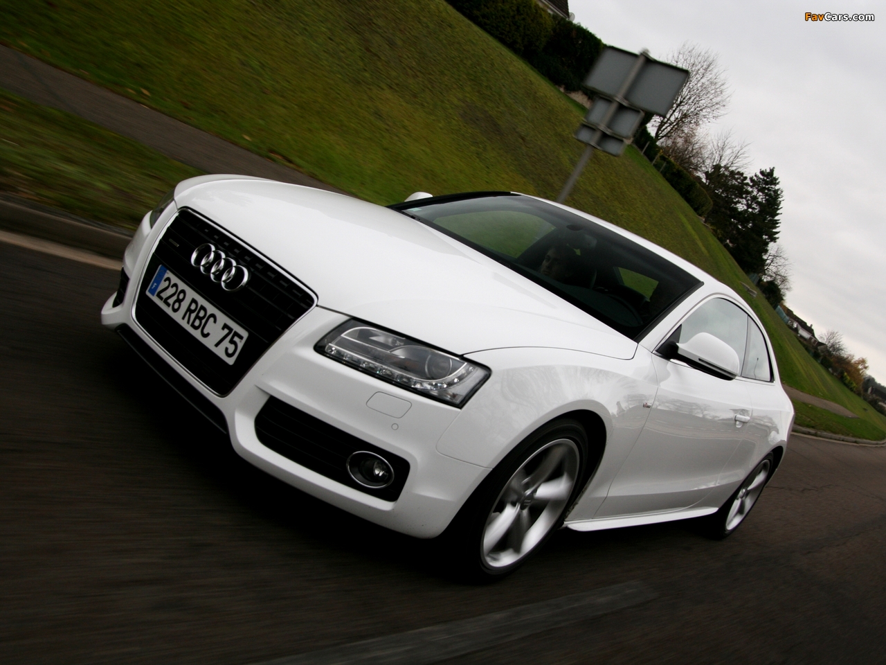 Photos of Audi A5 3.0 TDI quattro Coupe 2007–11 (1280 x 960)