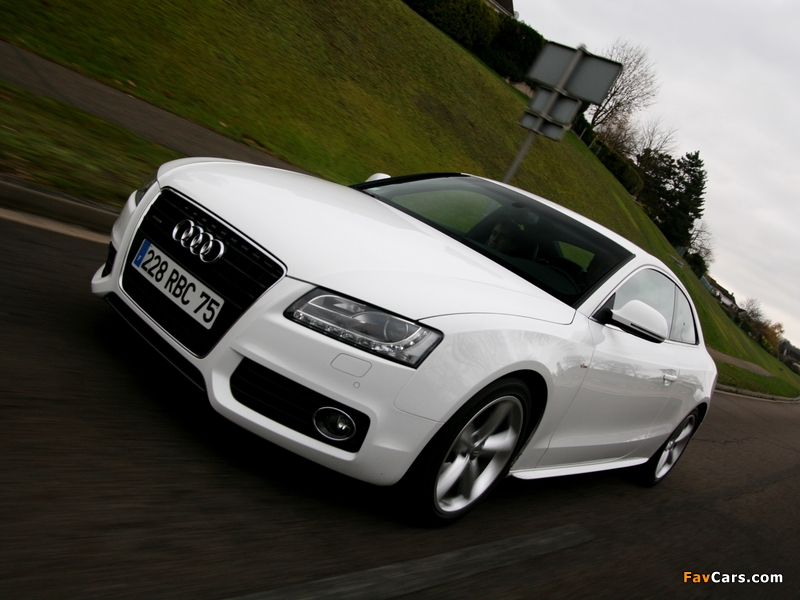 Photos of Audi A5 3.0 TDI quattro Coupe 2007–11 (800 x 600)