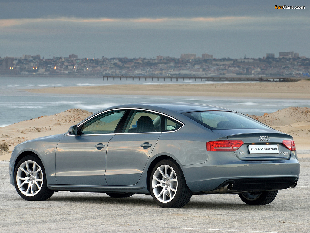 Photos of Audi A5 Sportback 3.0 TDI quattro ZA-spec 2009–11 (1024 x 768)