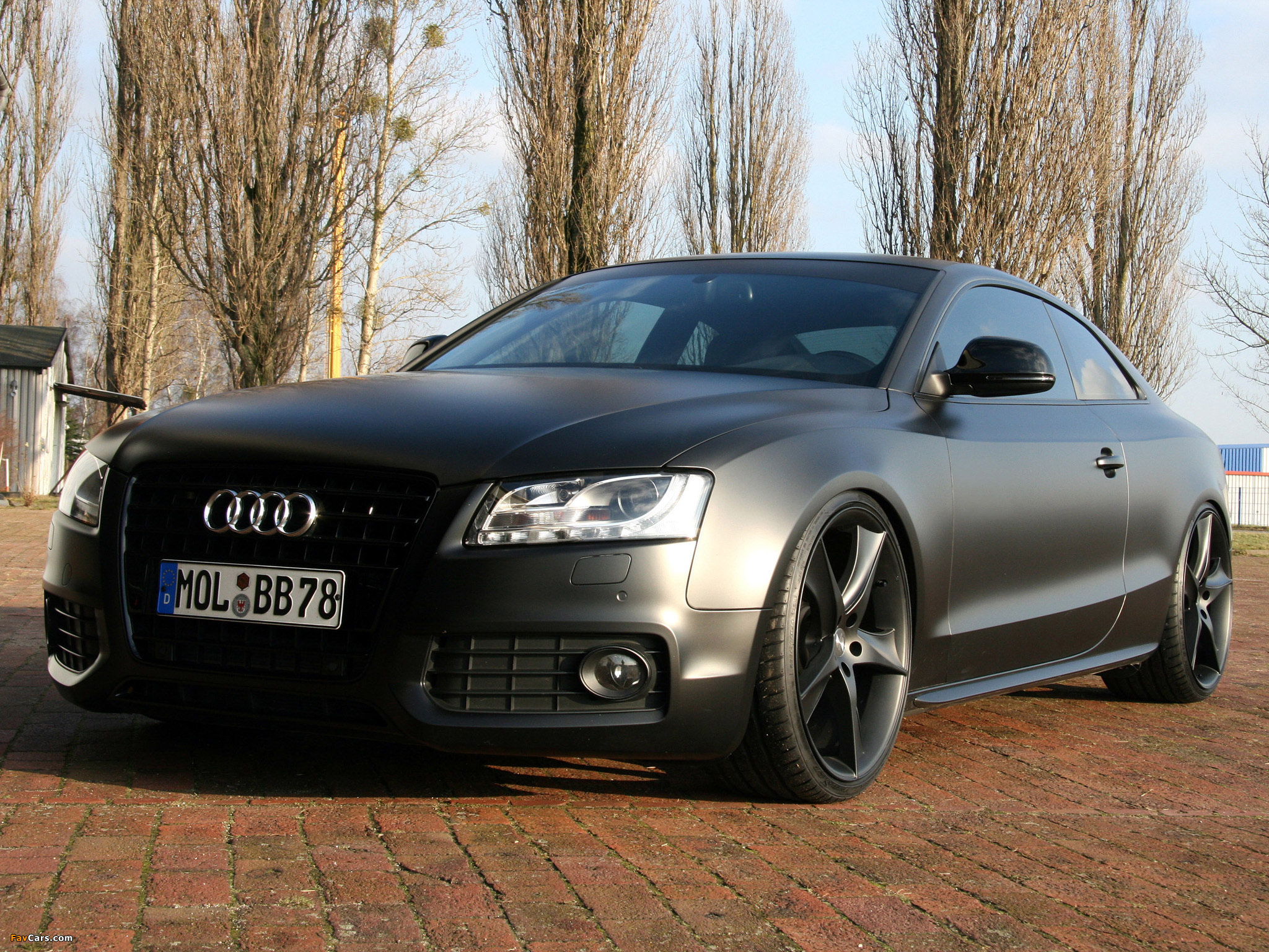 Photos of Avus Performance Audi A5 Coupe 2009 (2048 x 1536)