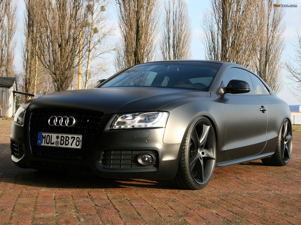 Photos of Avus Performance Audi A5 Coupe 2009 (1280 x 960)