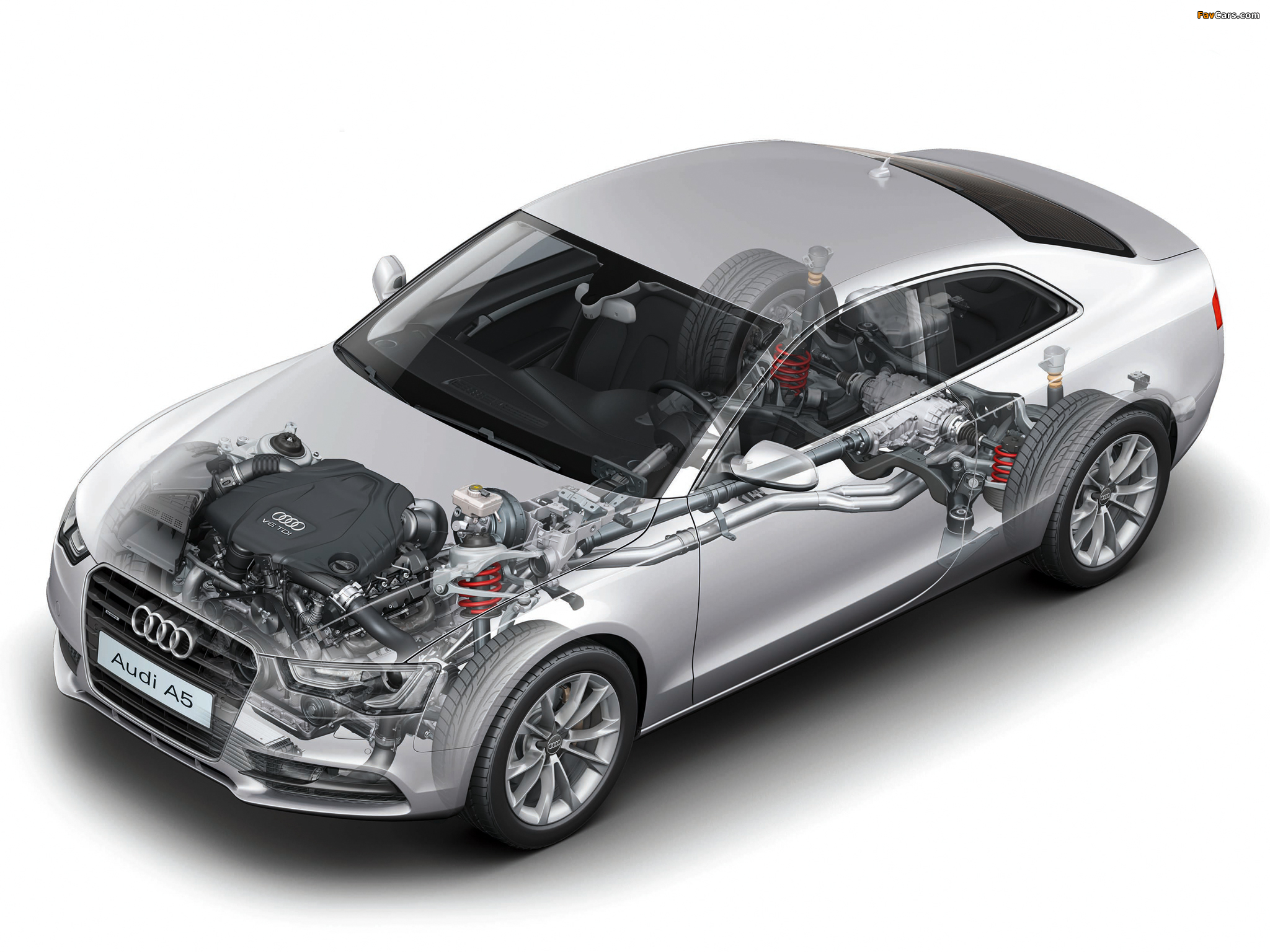 Photos of Audi A5 3.0 TDI quattro Coupe 2011 (2048 x 1536)
