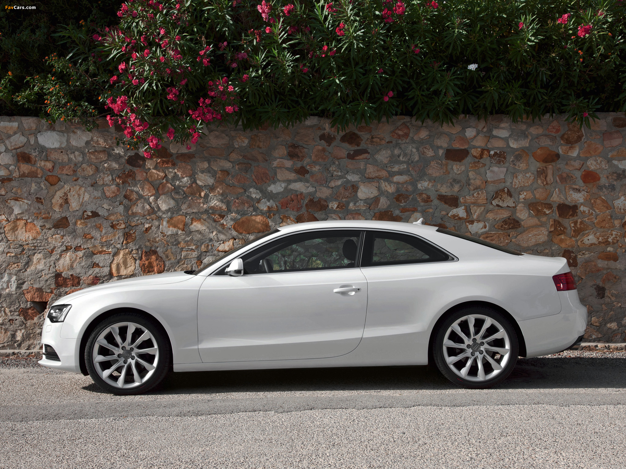 Photos of Audi A5 3.0 TDI quattro Coupe 2011 (2048 x 1536)