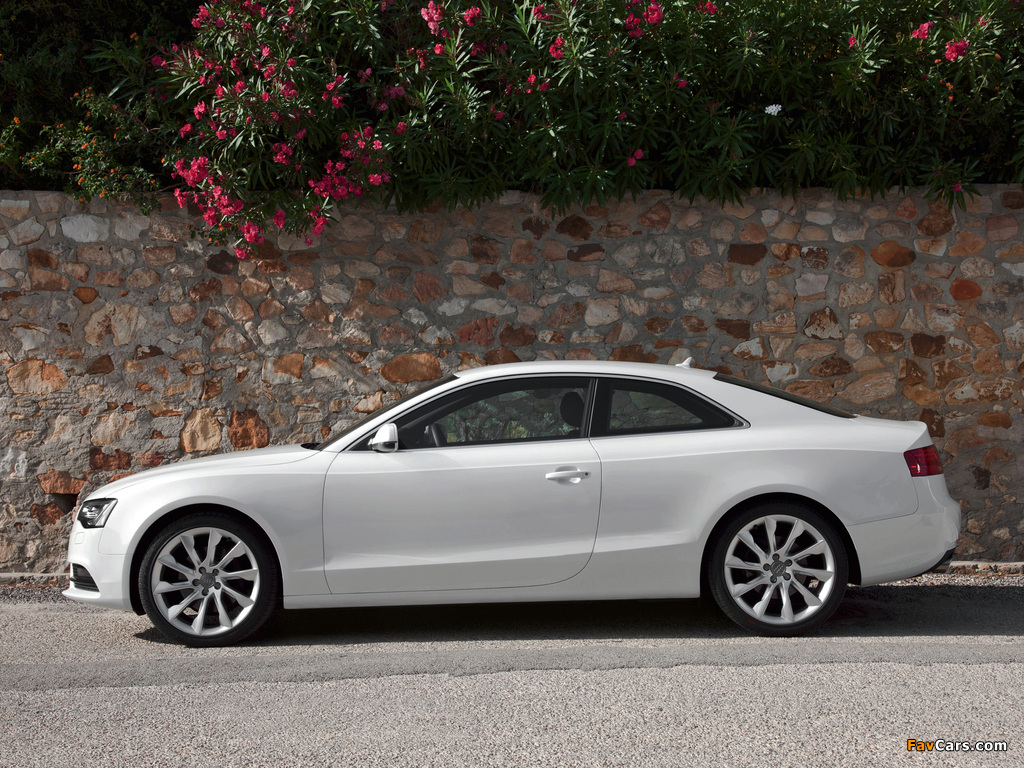 Photos of Audi A5 3.0 TDI quattro Coupe 2011 (1024 x 768)