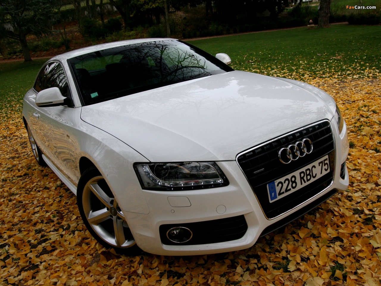 Pictures of Audi A5 3.0 TDI quattro Coupe 2007–11 (1280 x 960)