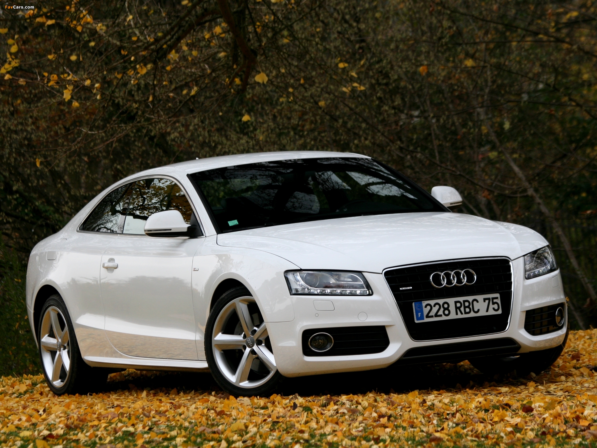 Pictures of Audi A5 3.0 TDI quattro Coupe 2007–11 (2048 x 1536)