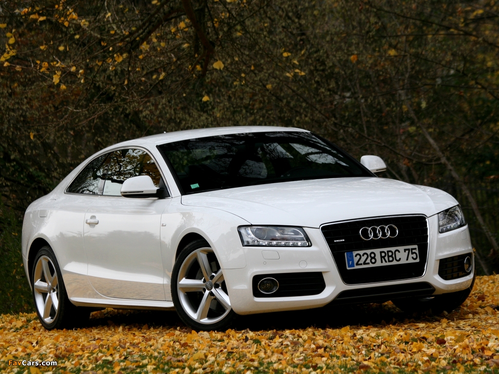 Pictures of Audi A5 3.0 TDI quattro Coupe 2007–11 (1024 x 768)