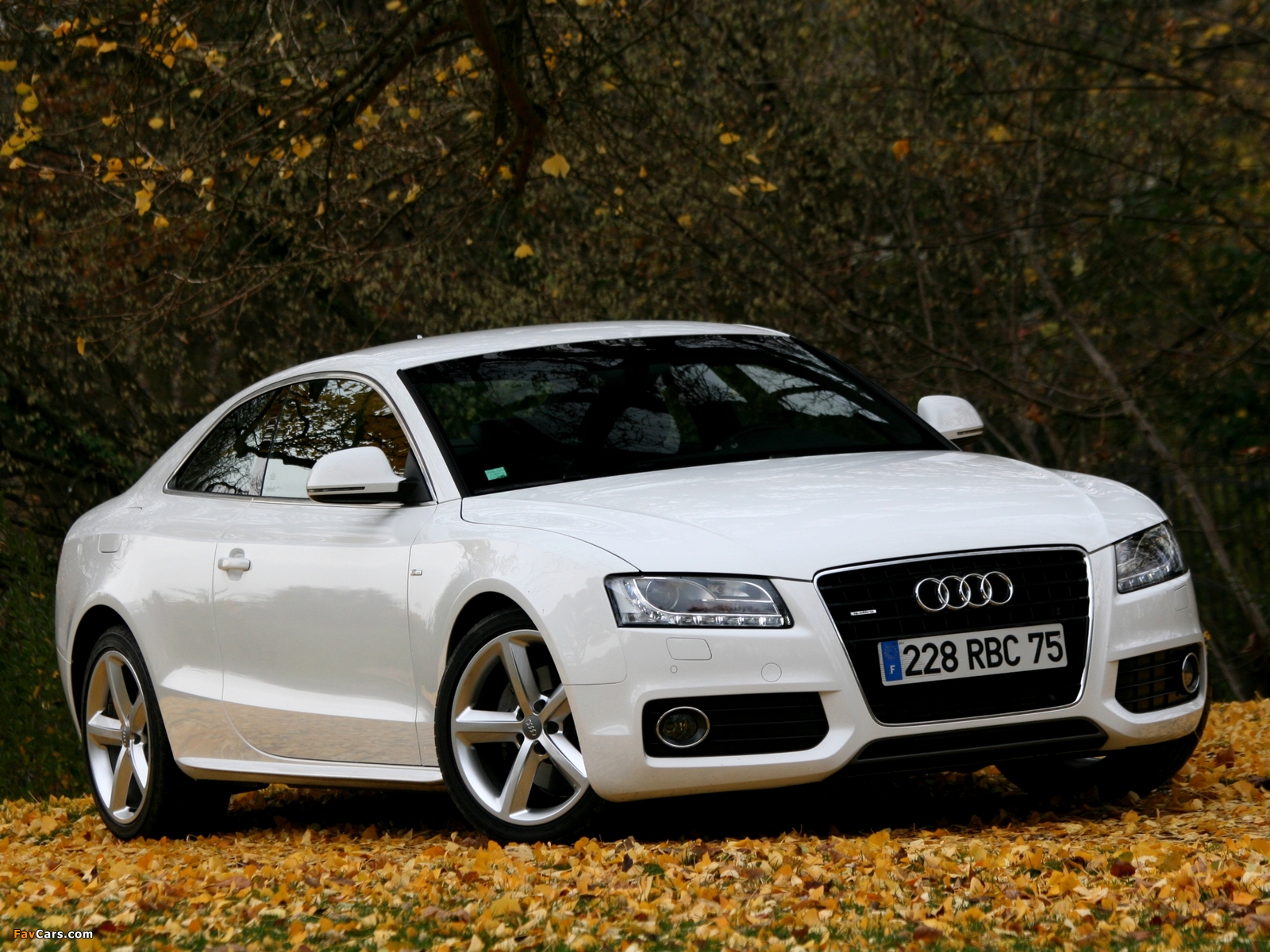 Pictures of Audi A5 3.0 TDI quattro Coupe 2007–11 (1600 x 1200)