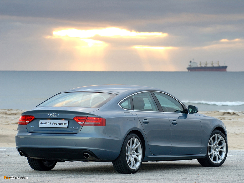 Pictures of Audi A5 Sportback 3.0 TDI quattro ZA-spec 2009–11 (1024 x 768)