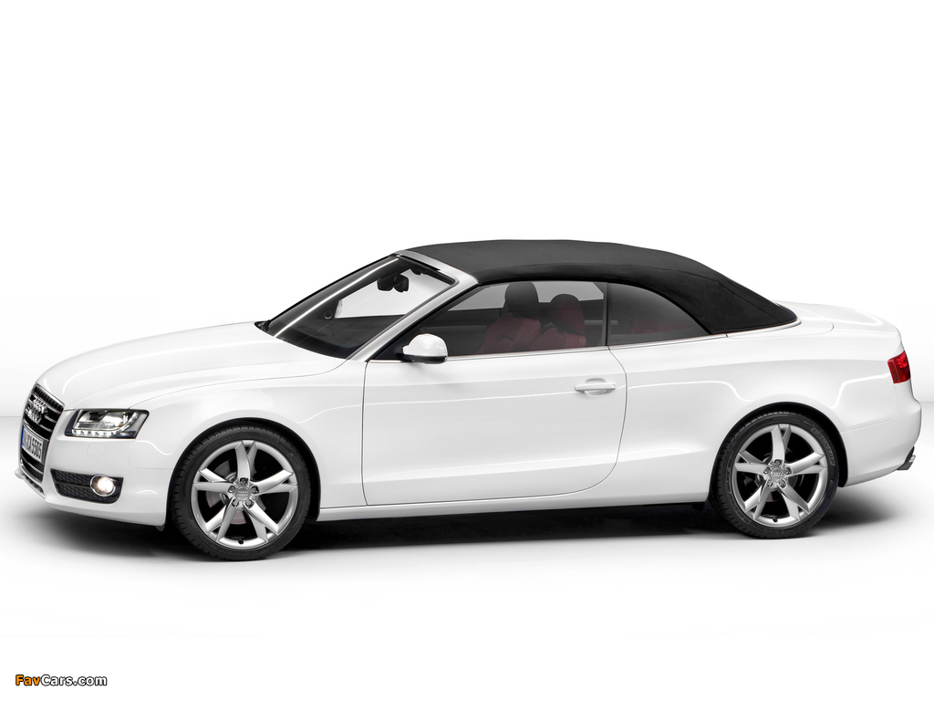 Pictures of Audi A5 3.0 TDI Cabriolet 2009–11 (1024 x 768)