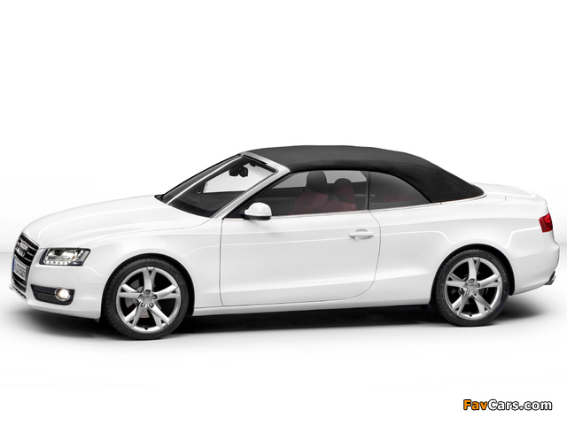 Pictures of Audi A5 3.0 TDI Cabriolet 2009–11 (640 x 480)