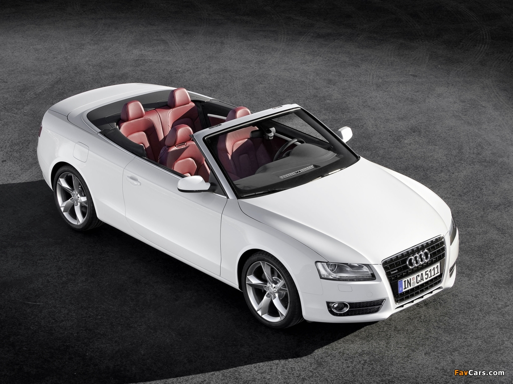 Pictures of Audi A5 3.0 TDI Cabriolet 2009–11 (1024 x 768)